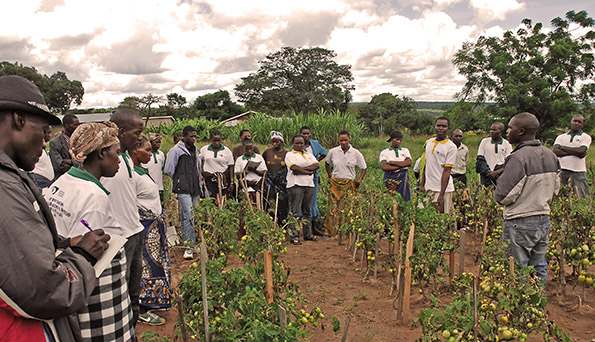 'La actividad de Agrónomos Sin Fronteras en Iringa (Tanzania)'